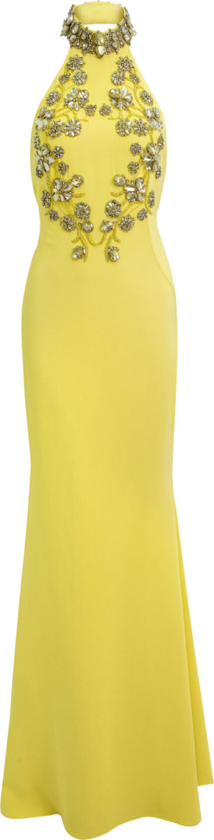 Neckholder-Abendkleid mit Schmuckstickerei und Schleppe